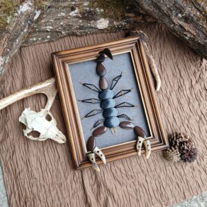 Scorpion géant